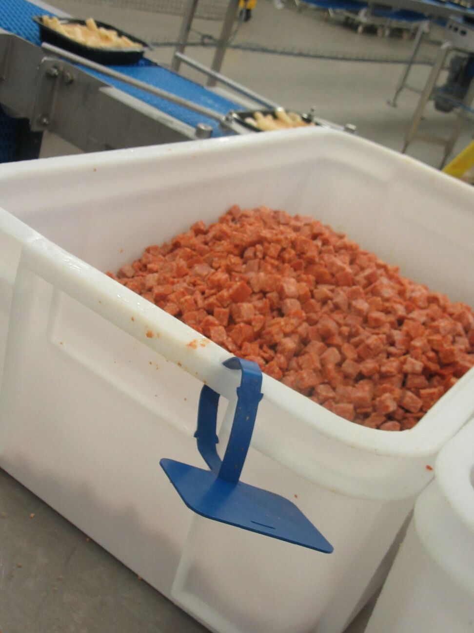 Photo 24-05-2016, 09 33 35